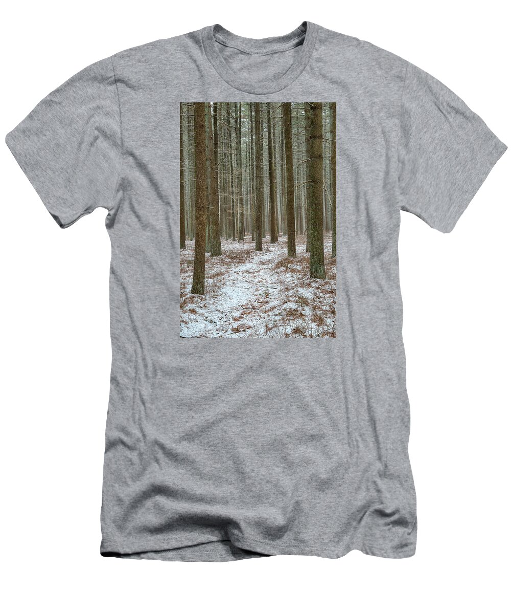 Forest T-Shirt featuring the photograph Winter's Trail by Denise Bush