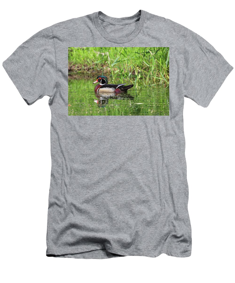Sam Amato Photography T-Shirt featuring the photograph Wood Duck by Sam Amato