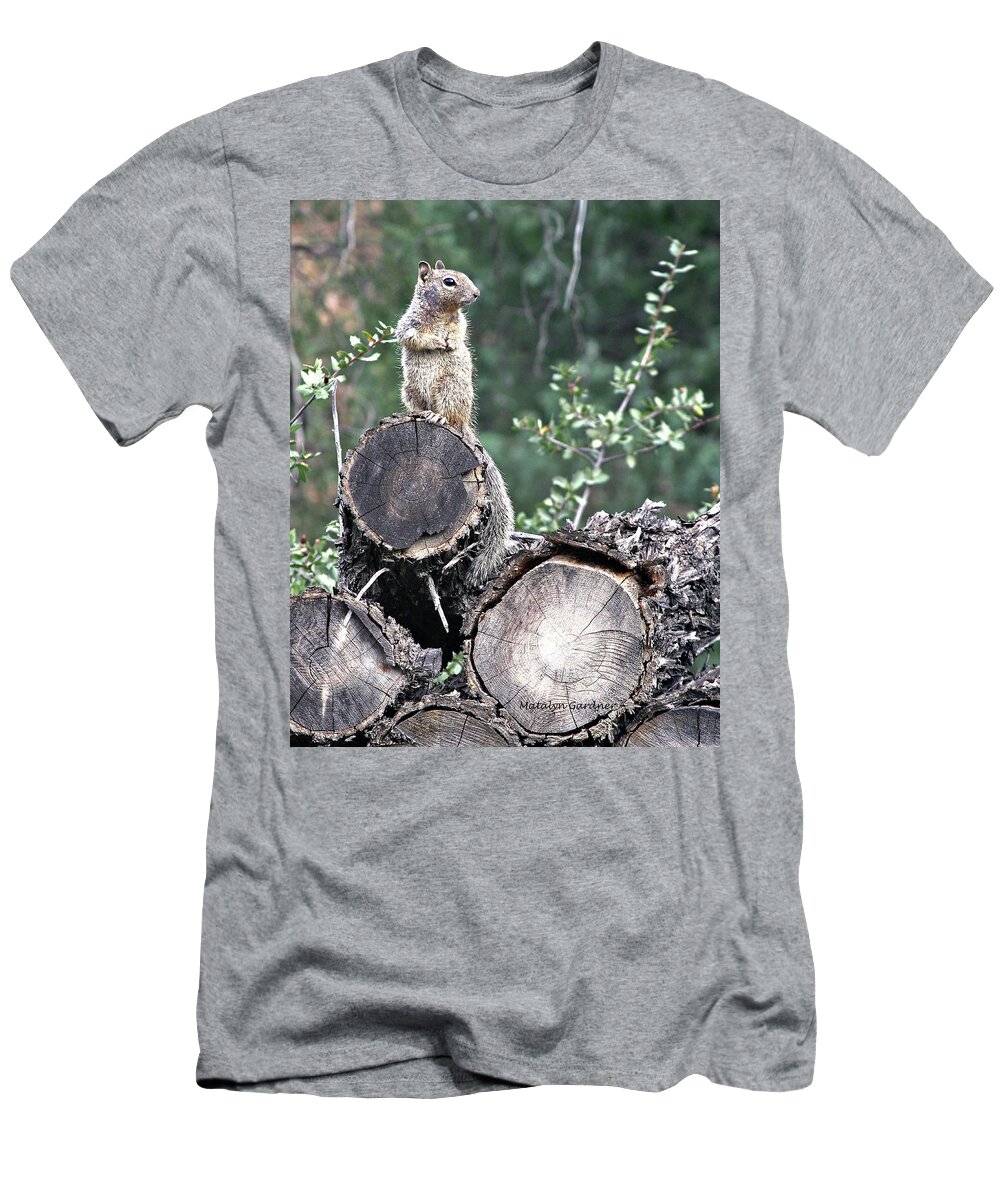Squirrel T-Shirt featuring the photograph Woodpile Squirrel by Matalyn Gardner