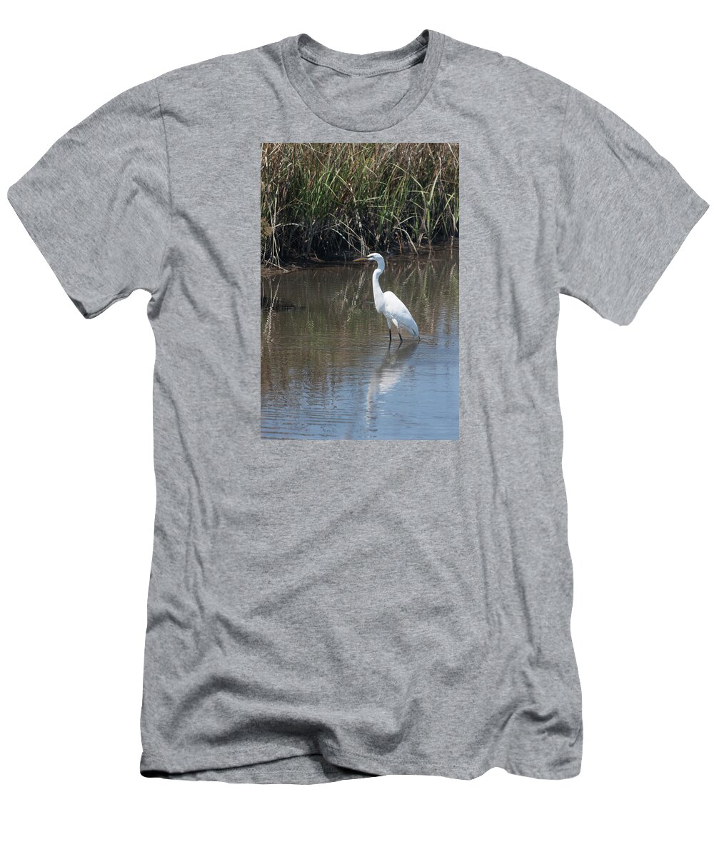 Photograph T-Shirt featuring the photograph Yawkey Wildlife Refuge - Great White Egret II by Suzanne Gaff
