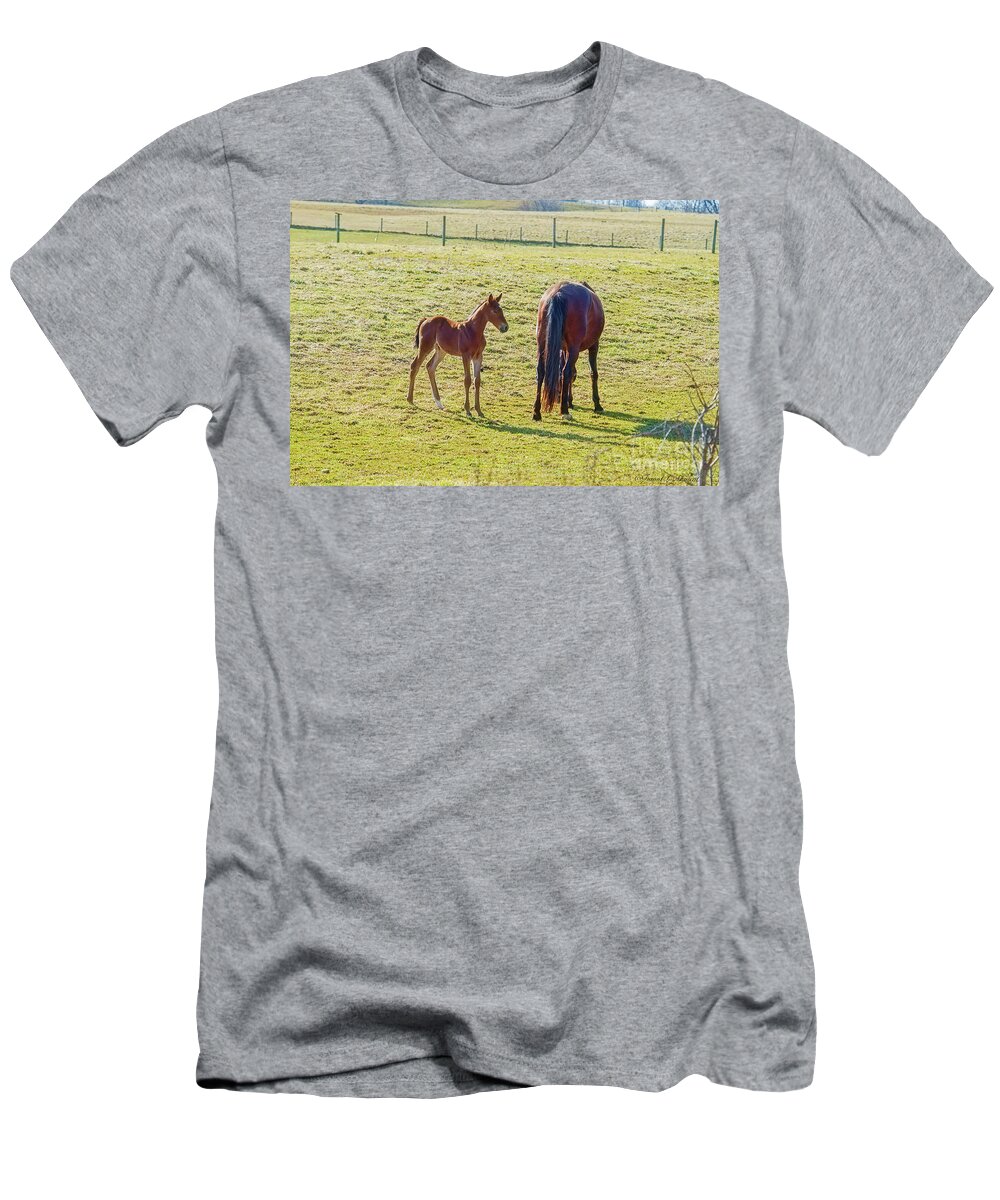 Horse T-Shirt featuring the photograph Yearling by David Arment