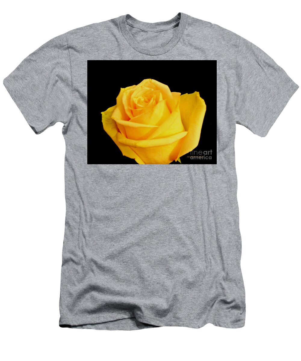 Photo T-Shirt featuring the photograph Yellow Rose on Black by Marsha Heiken