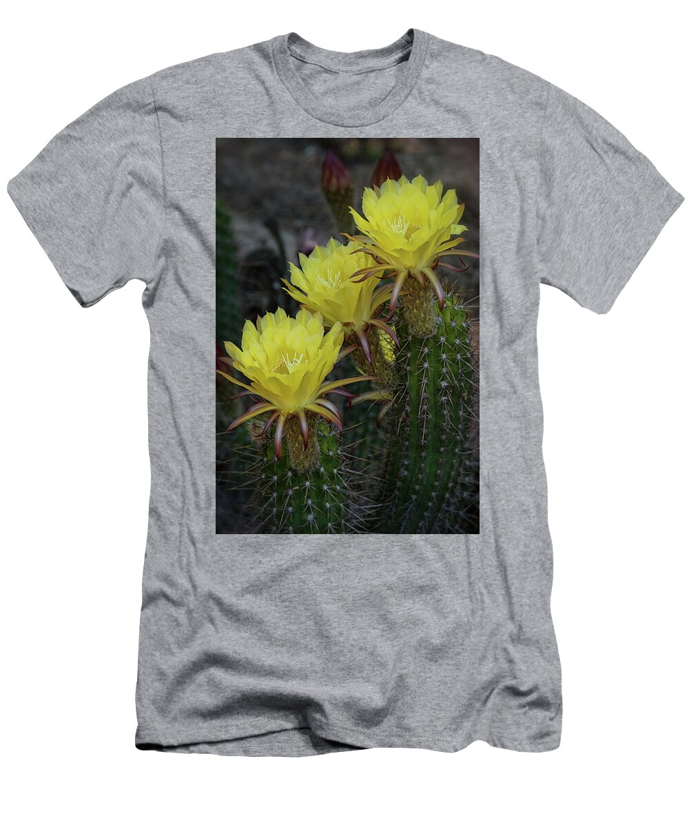Yellow Torch Cactus T-Shirt featuring the photograph Yellow Torch Cactus Bouquet by Saija Lehtonen