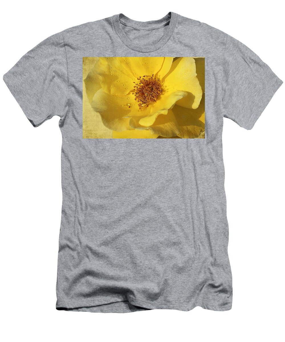 Rose T-Shirt featuring the photograph Yellow Wild Rose by Phyllis Denton
