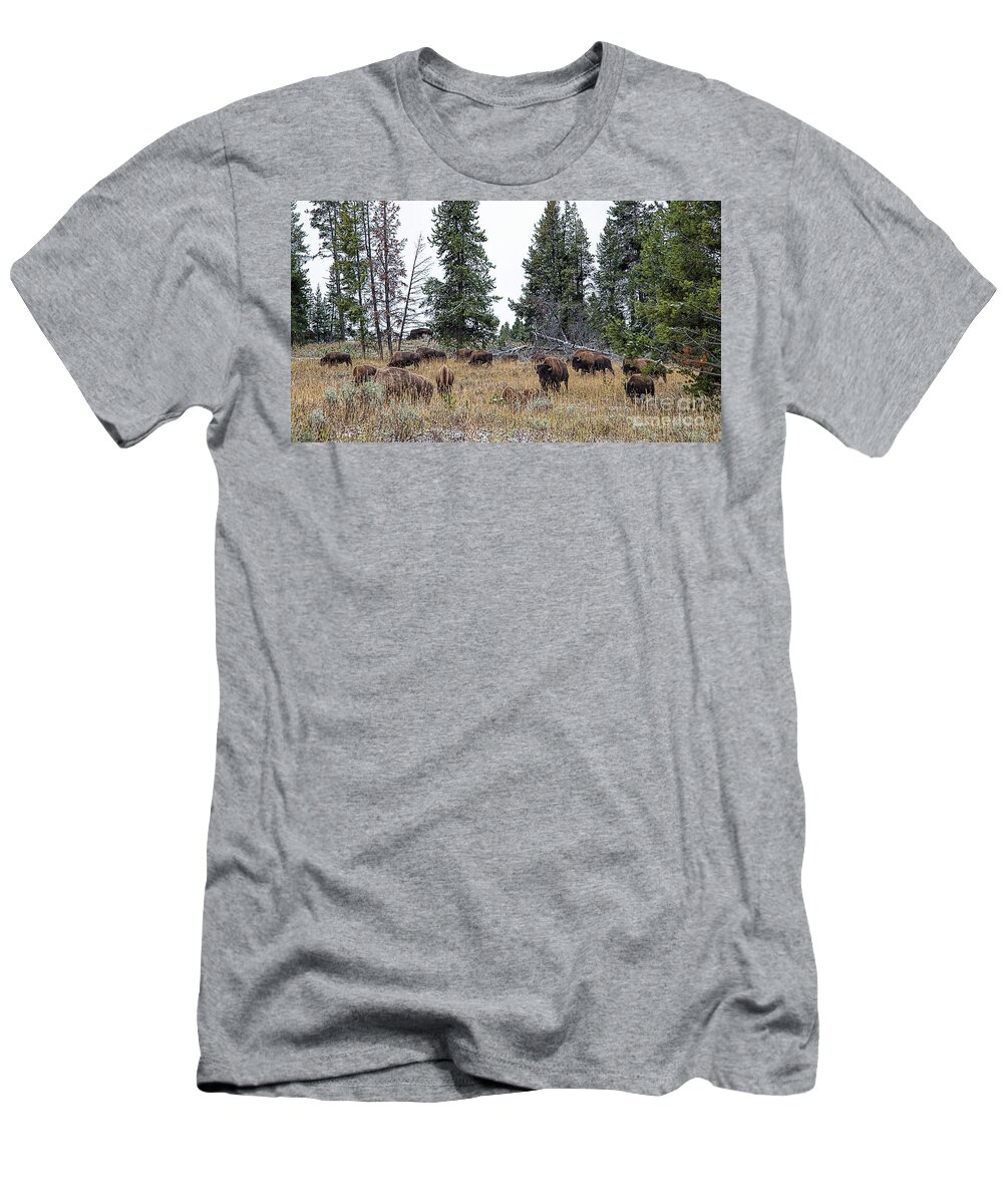 Yelowstone T-Shirt featuring the photograph Yellowstone Buffalo by Jim Garrison