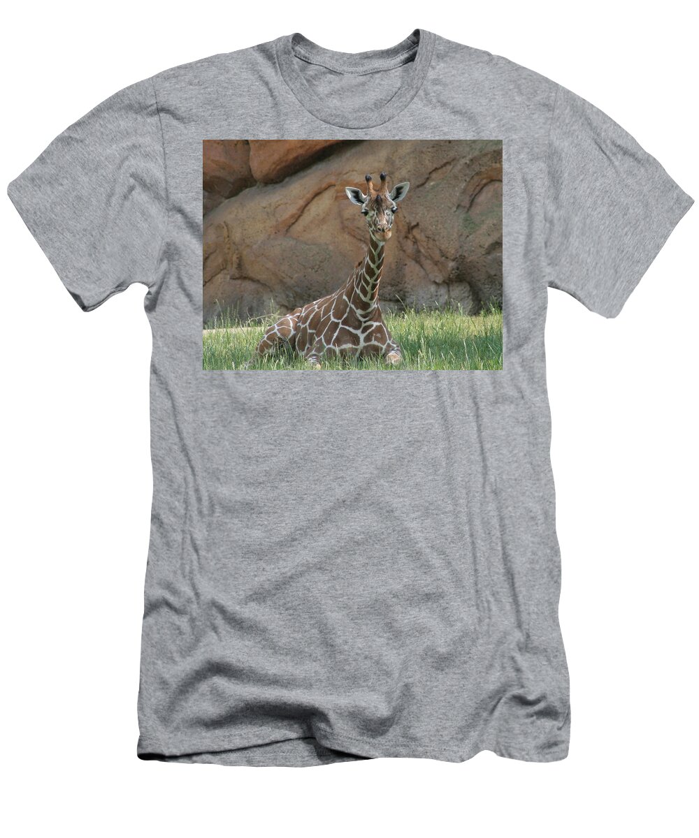 Nashville Zoo T-Shirt featuring the photograph Young Masai Giraffe by Valerie Collins