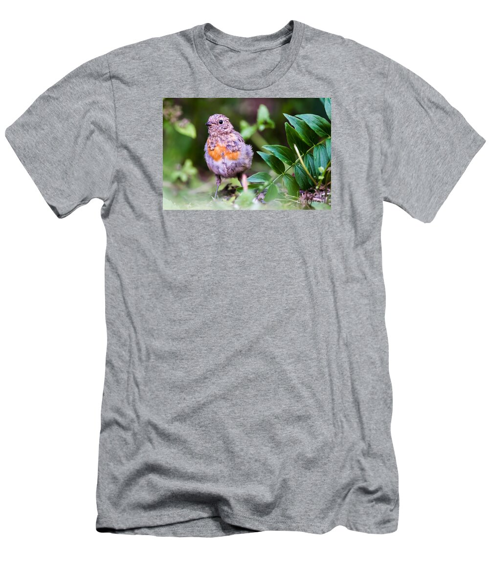 Robin T-Shirt featuring the photograph Young Robin by Torbjorn Swenelius