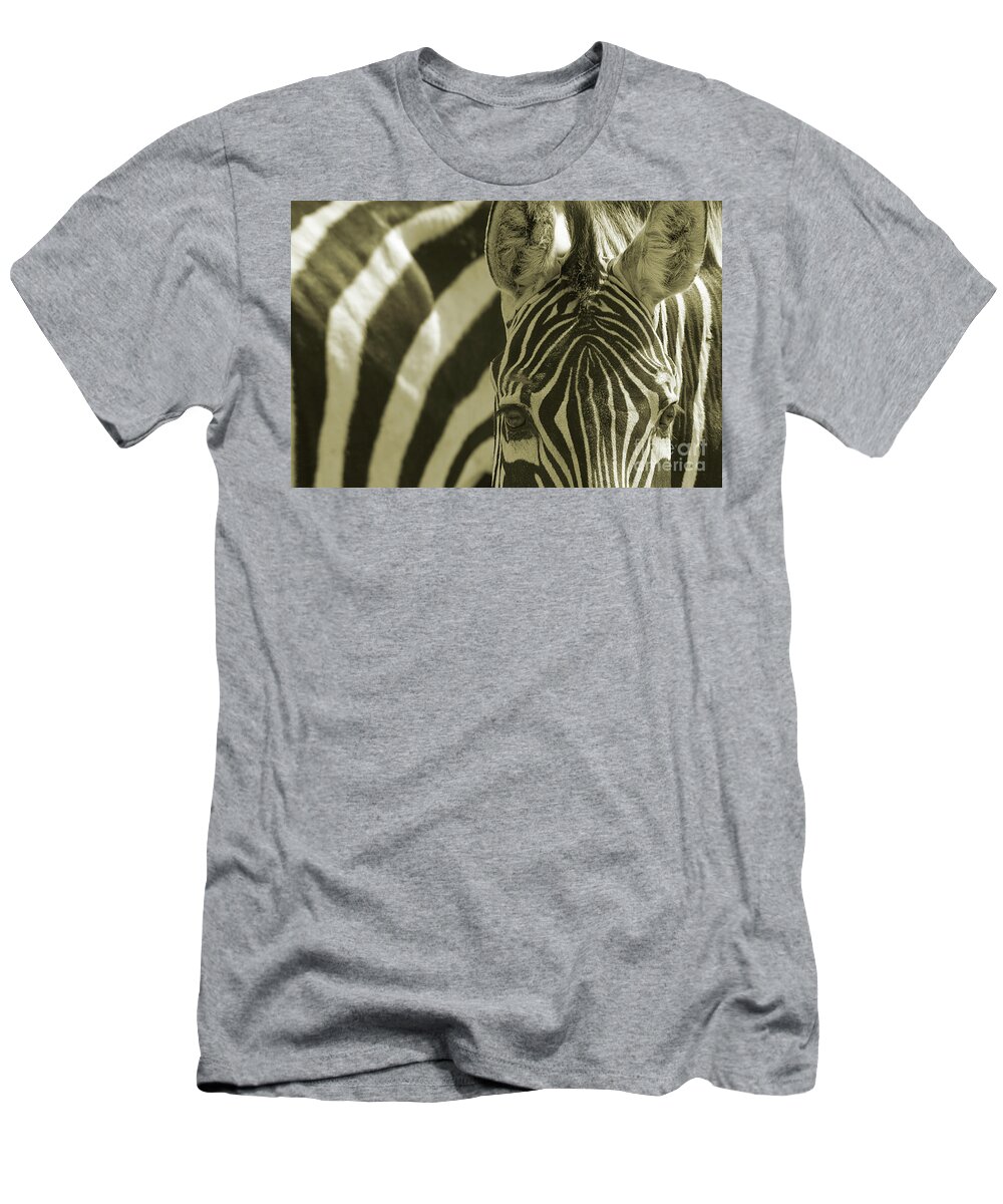 Psi T-Shirt featuring the photograph Zebra Close up a by Ofer Zilberstein