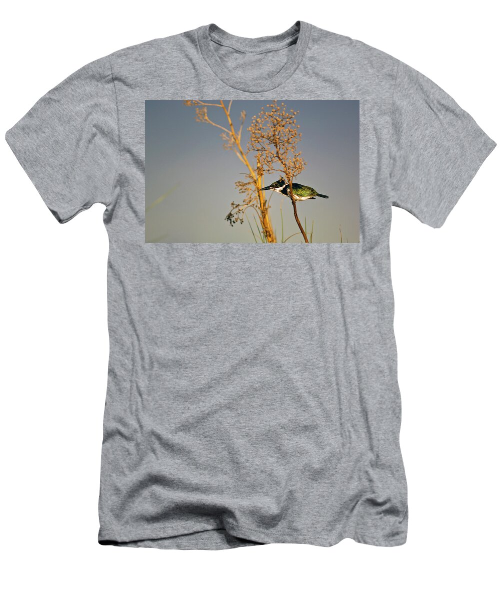 Estock T-Shirt featuring the digital art Bird On Tree Branches #1 by Heeb Photos