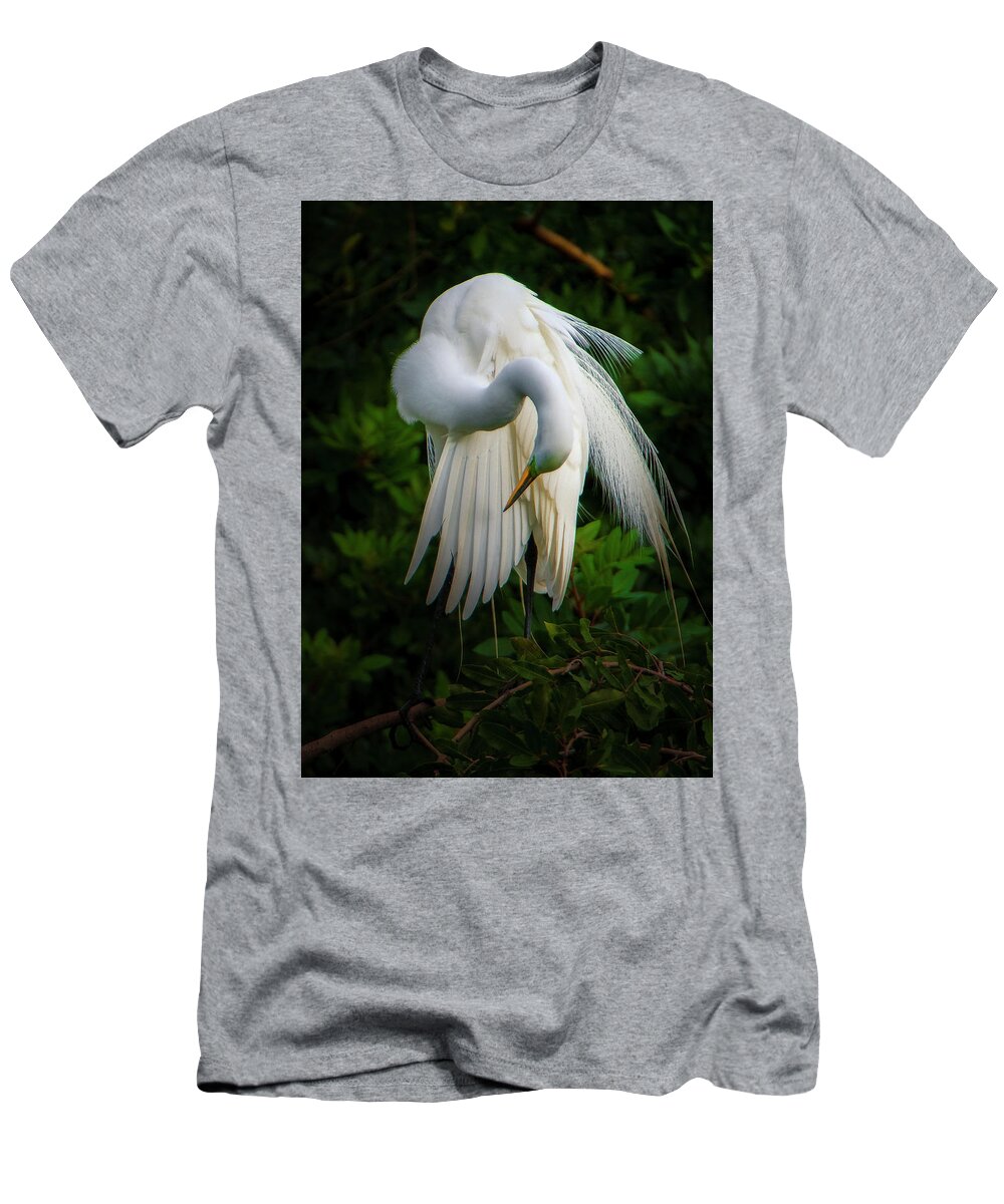 Nature T-Shirt featuring the photograph Breeding Plumage and Color by Donald Brown