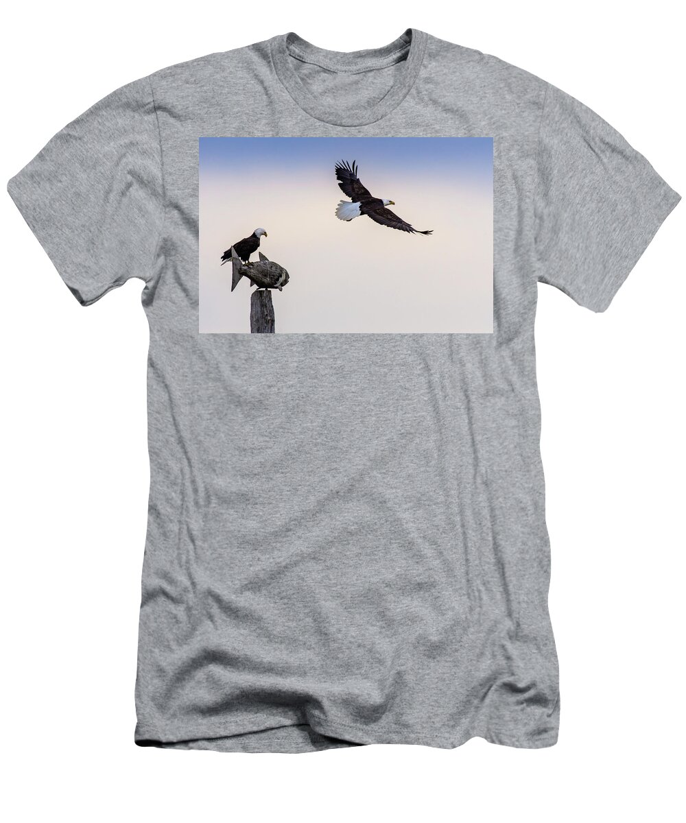 Eagles T-Shirt featuring the photograph Eagles #1 by Jerry Cahill