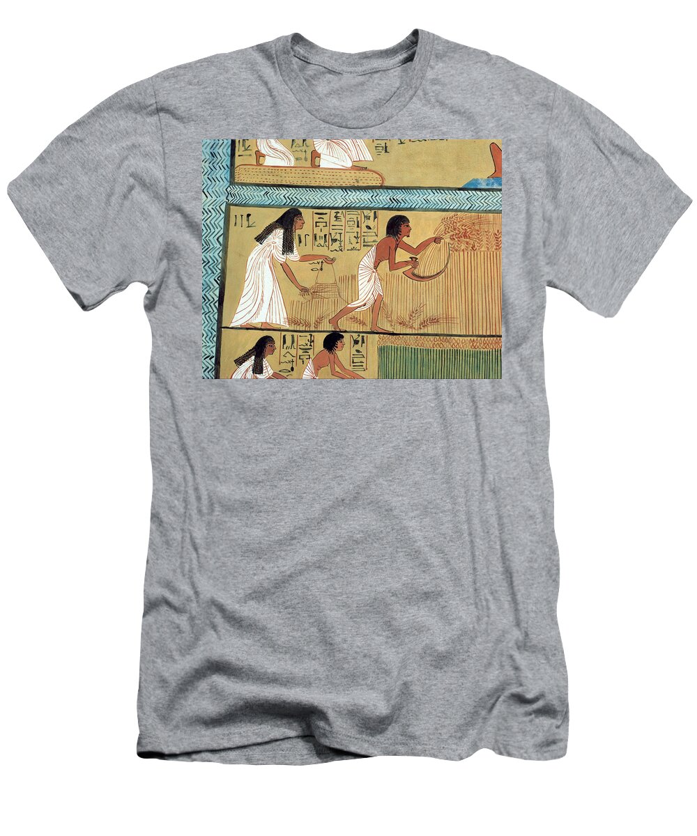 B1019 T-Shirt featuring the painting Egyptian Tomb Painting #1 by Charles K. Wilkinson