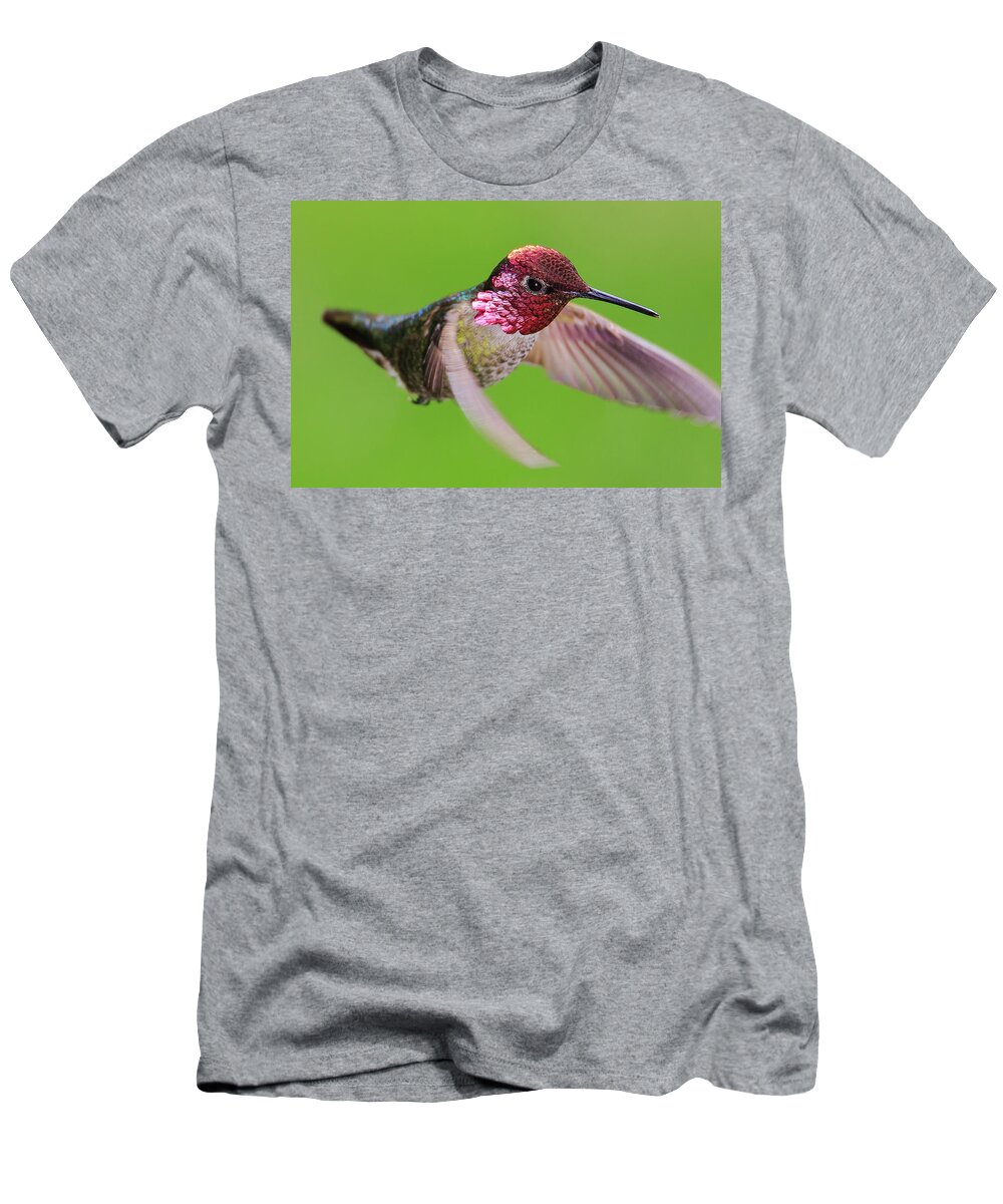 Animal T-Shirt featuring the photograph Male Anna's Hummingbird #1 by Briand Sanderson