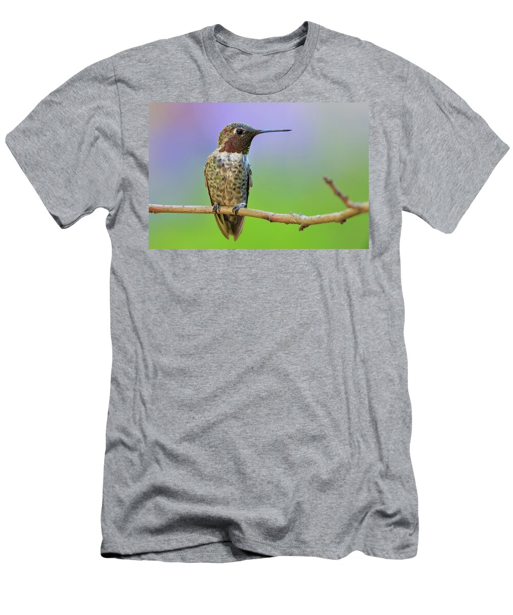 Animal T-Shirt featuring the photograph Midsummer Night's Dream IV - Male Anna's Hummingbird by Briand Sanderson