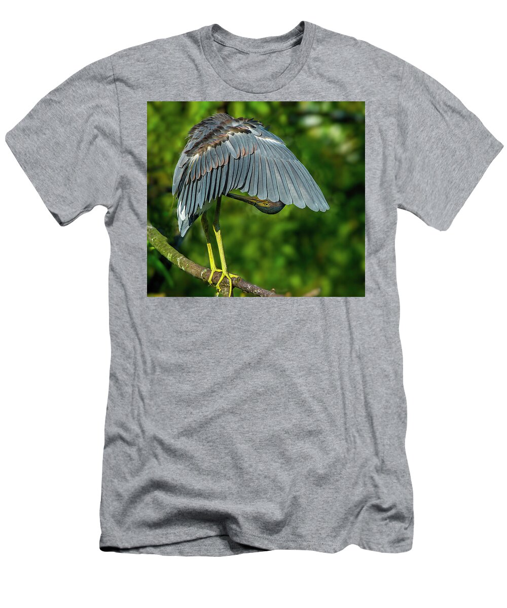 Birds T-Shirt featuring the photograph Preening Reddish Heron by Donald Brown