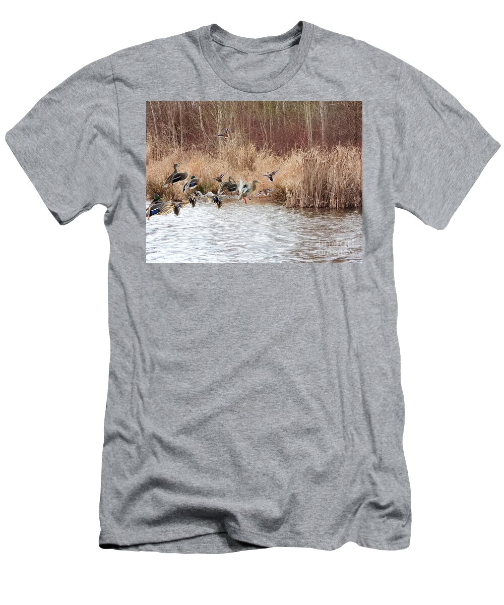 Mallard T-Shirt featuring the photograph Time To Go #1 by Scott Cameron