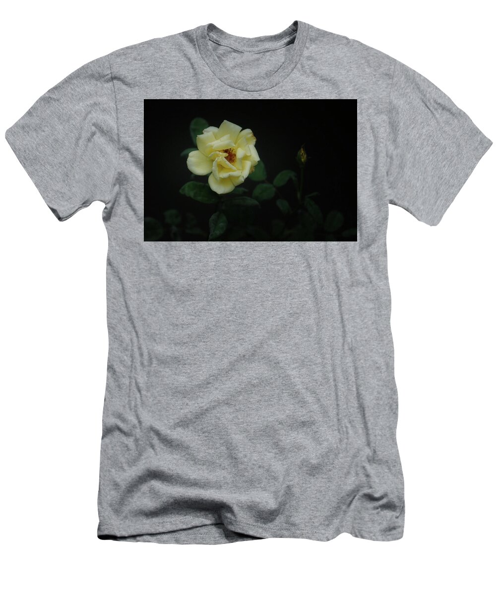 Yellow Rose T-Shirt featuring the photograph Yellow Beauty #1 by Ernest Echols