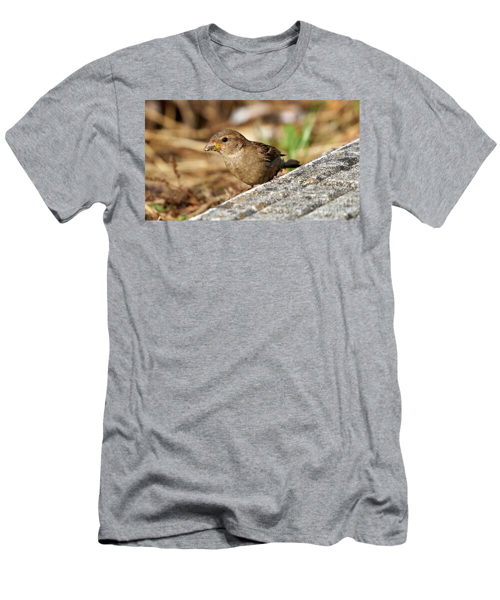 Branch T-Shirt featuring the photograph House Sparrow Female Standing #2 by Pablo Avanzini