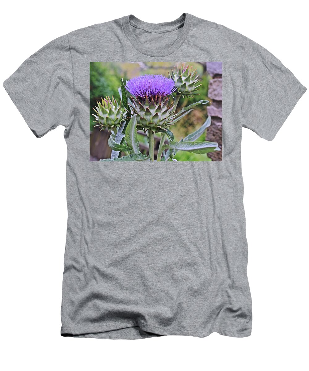Thistle T-Shirt featuring the photograph 2019 August at the Gardens Thistle by Janis Senungetuk
