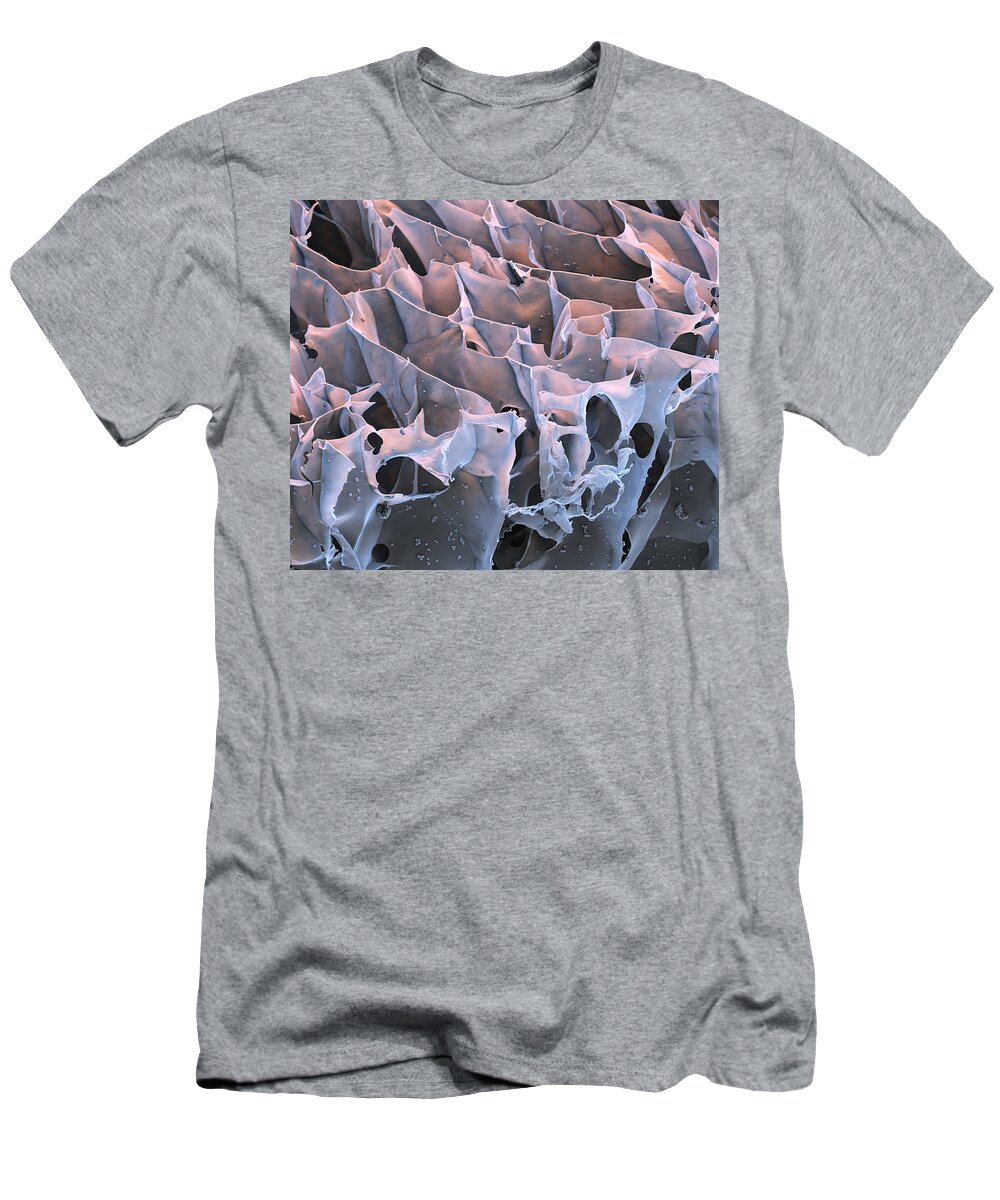 Biotechnology T-Shirt featuring the photograph Hydrogel Of Synthetic Spider Silk, Sem #3 by Meckes/ottawa