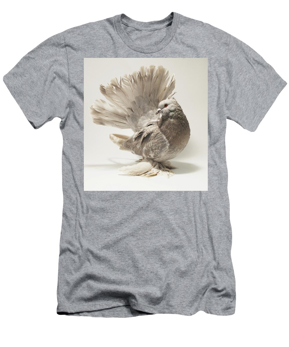 Bird T-Shirt featuring the photograph Indian Fantail Pigeon #3 by Nathan Abbott