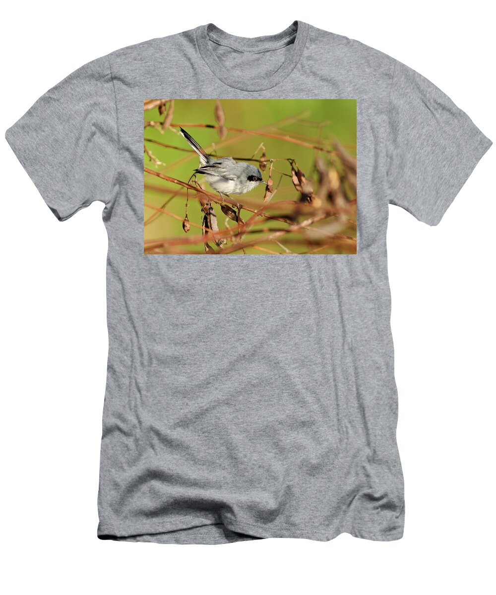 Estock T-Shirt featuring the digital art Bird On Tree Branch #4 by Heeb Photos