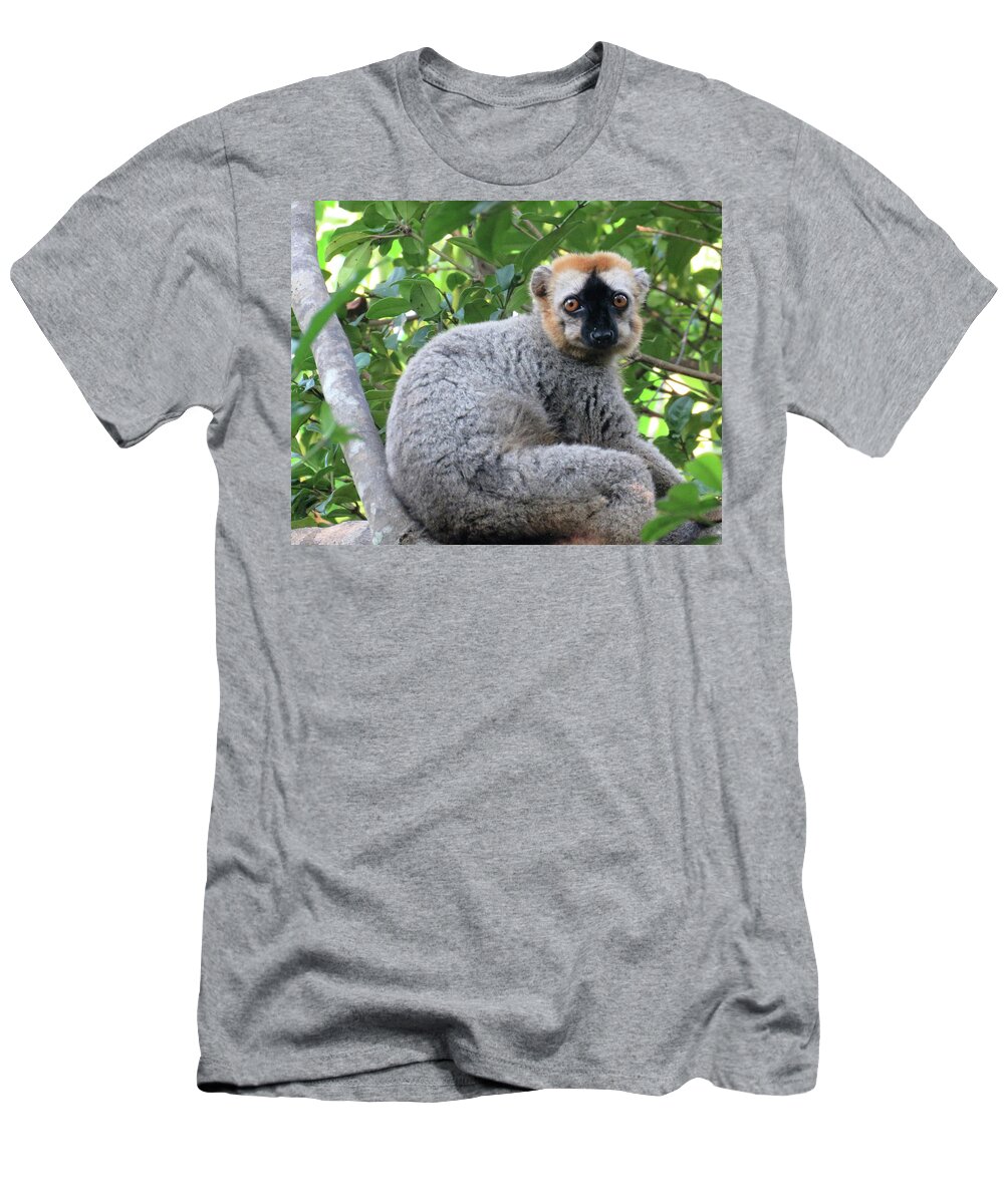 Africa T-Shirt featuring the photograph 66 by Eric Pengelly