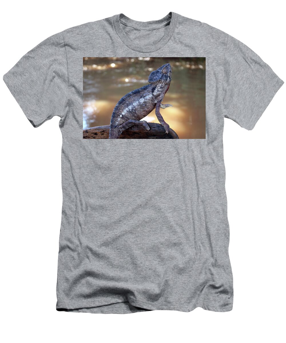  T-Shirt featuring the photograph 7 by Eric Pengelly