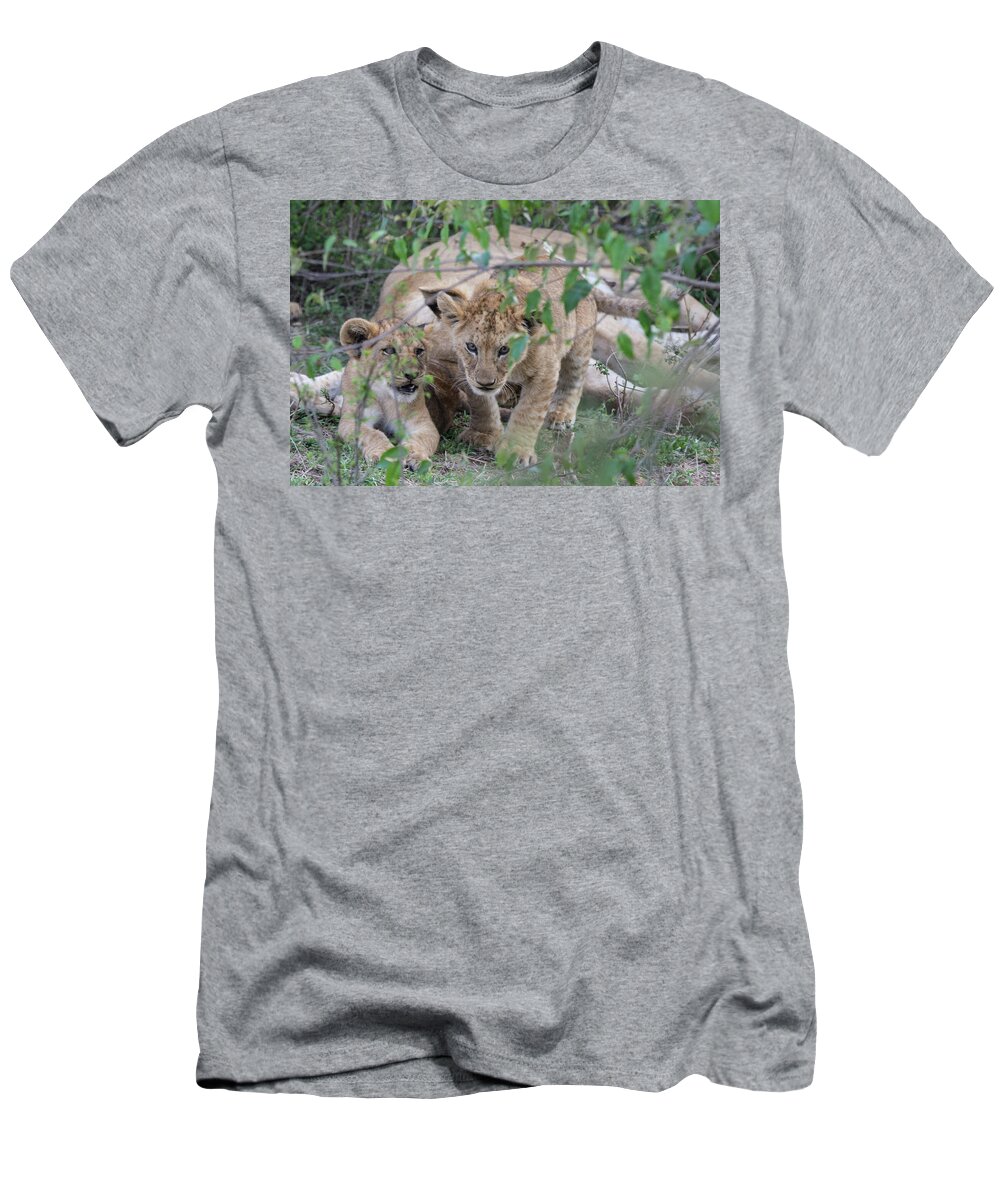 Lion T-Shirt featuring the photograph A Cub on the Prowl by Mark Hunter