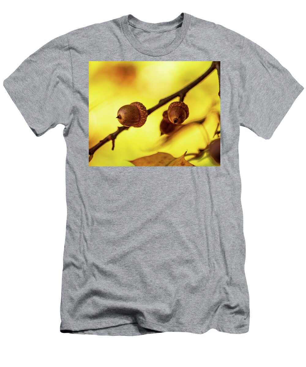 Acorns T-Shirt featuring the photograph Nature Photography - Trees #1 by Amelia Pearn