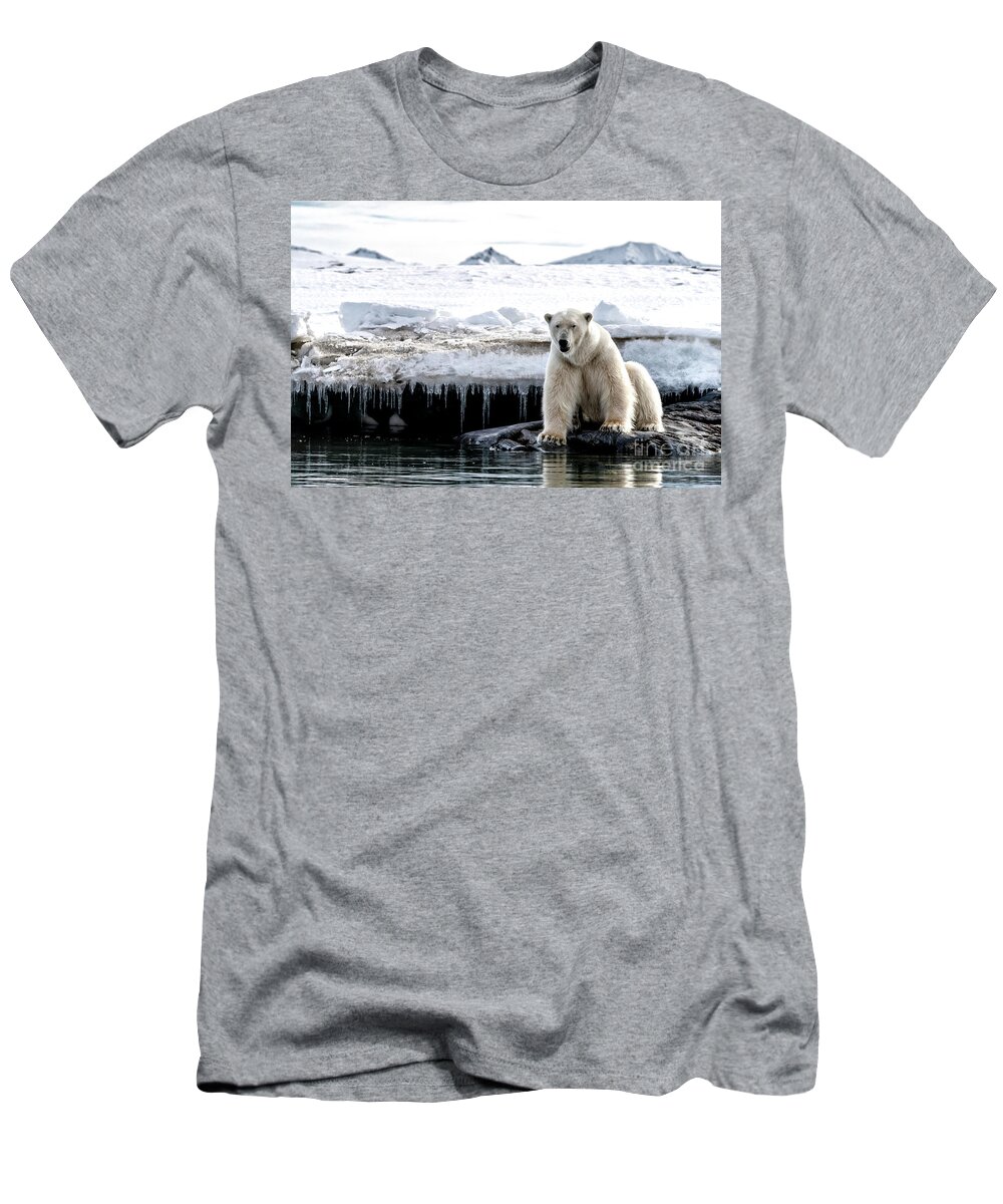 Polar T-Shirt featuring the photograph Adult male polar bear at the ice edge in Svalbard by Jane Rix