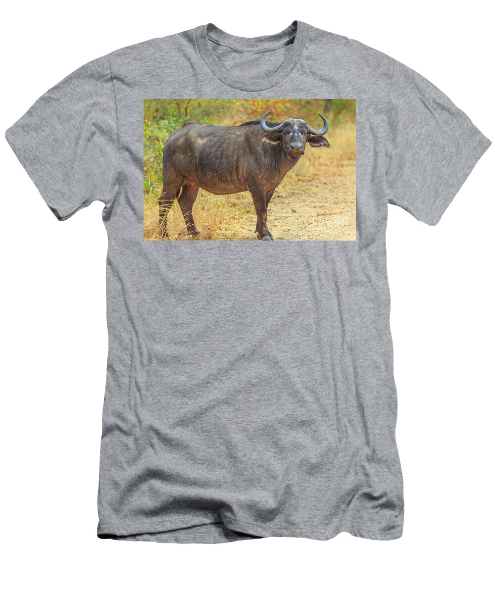 Buffalo T-Shirt featuring the photograph African buffalo Kruger by Benny Marty