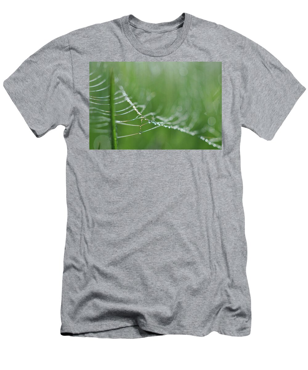 Green T-Shirt featuring the photograph Amazing by Michelle Wermuth