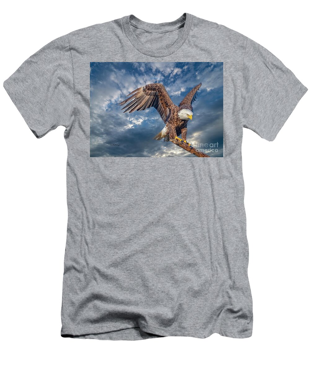 Eagles T-Shirt featuring the photograph American Bald Eagle Incoming TWO by DB Hayes