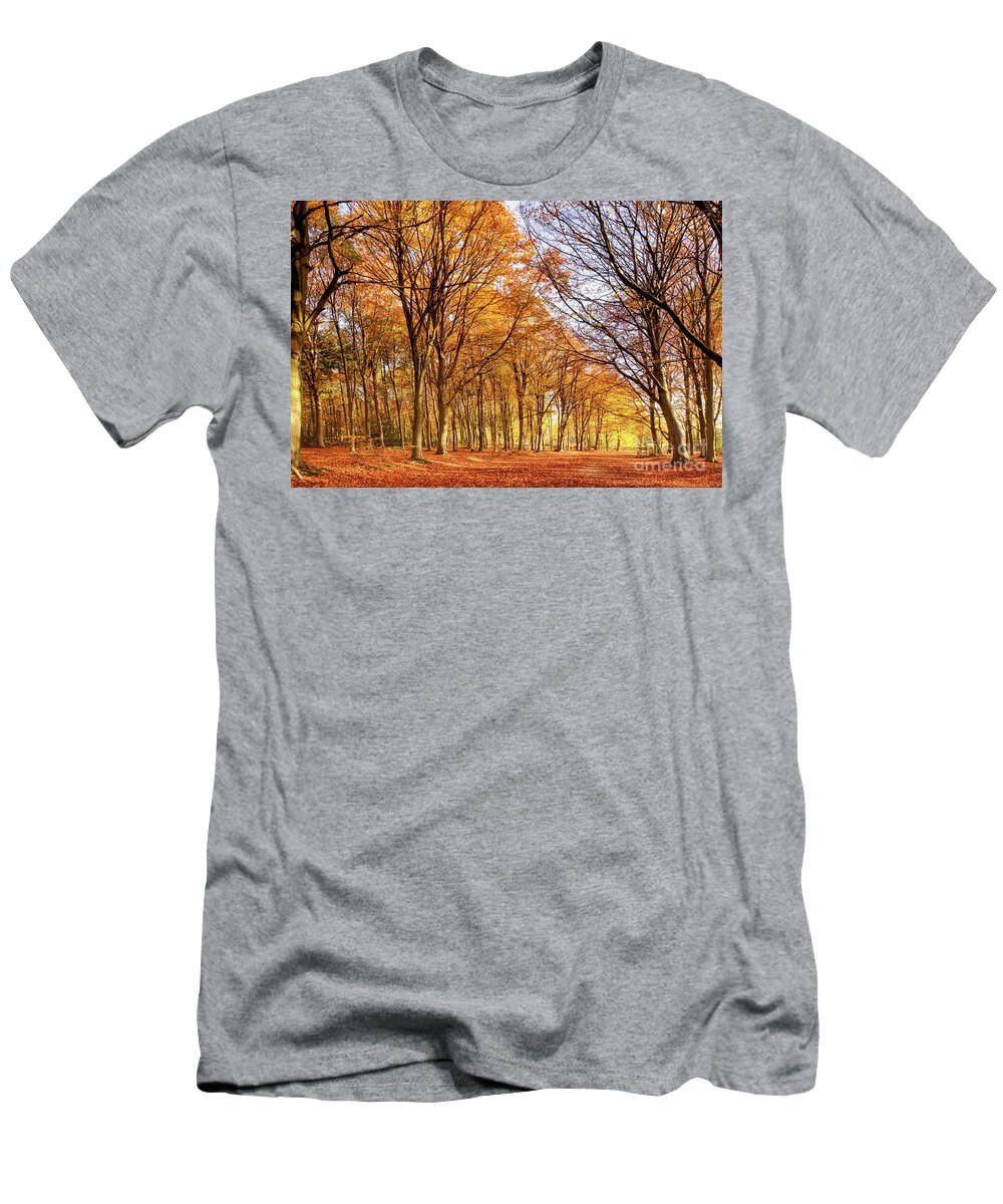 Woodland T-Shirt featuring the photograph Ancient woodland in full autumn fall colors by Simon Bratt
