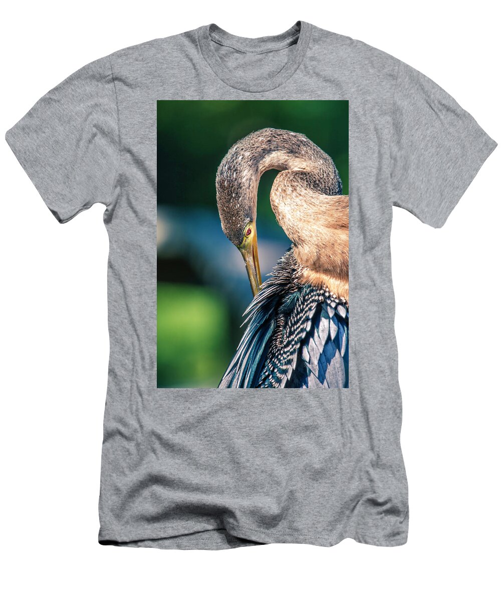 Anhinga Trail T-Shirt featuring the photograph Anhinga Grooming by Donald Brown
