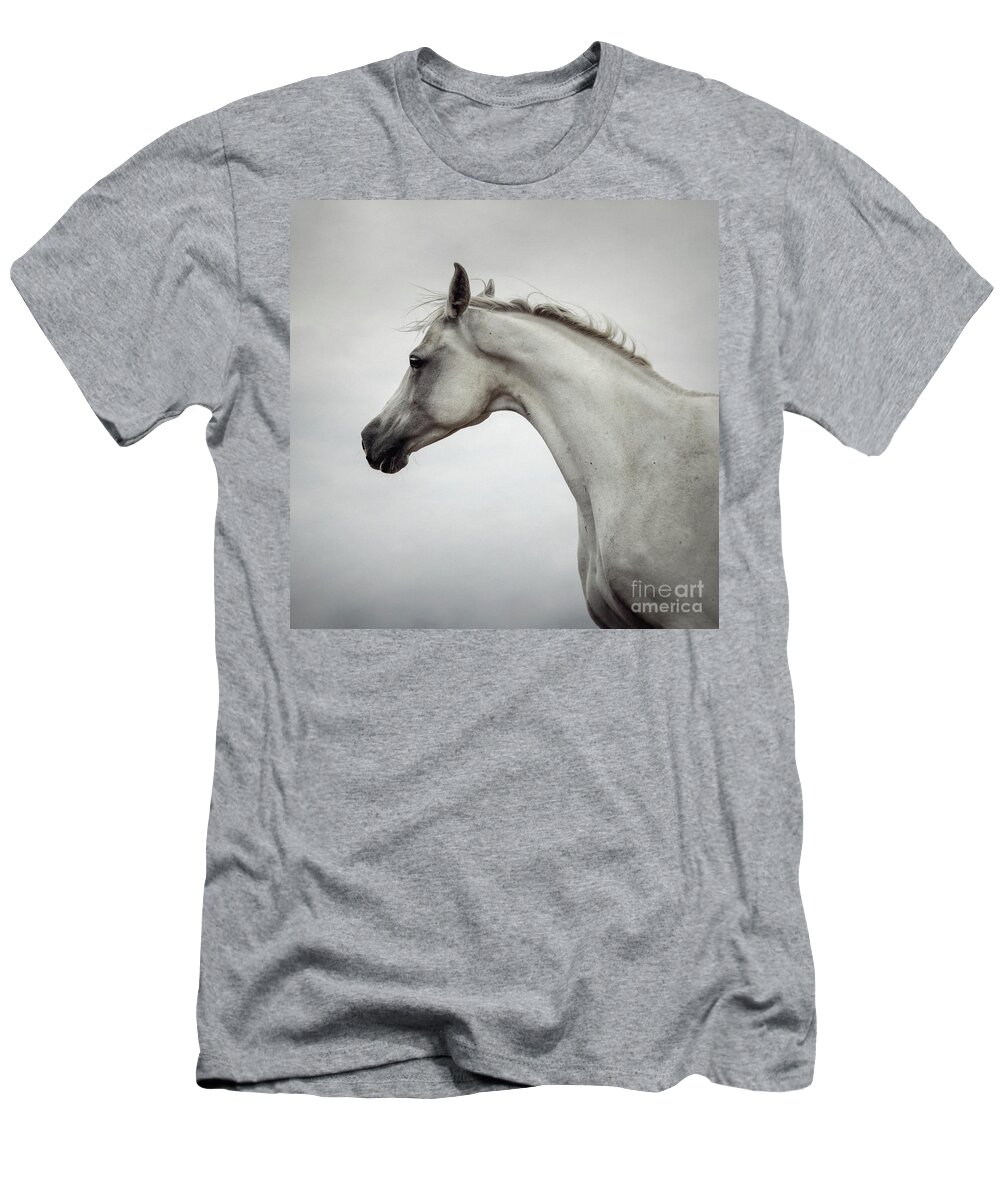 Horse T-Shirt featuring the photograph Arabian Horse Portrait by Dimitar Hristov