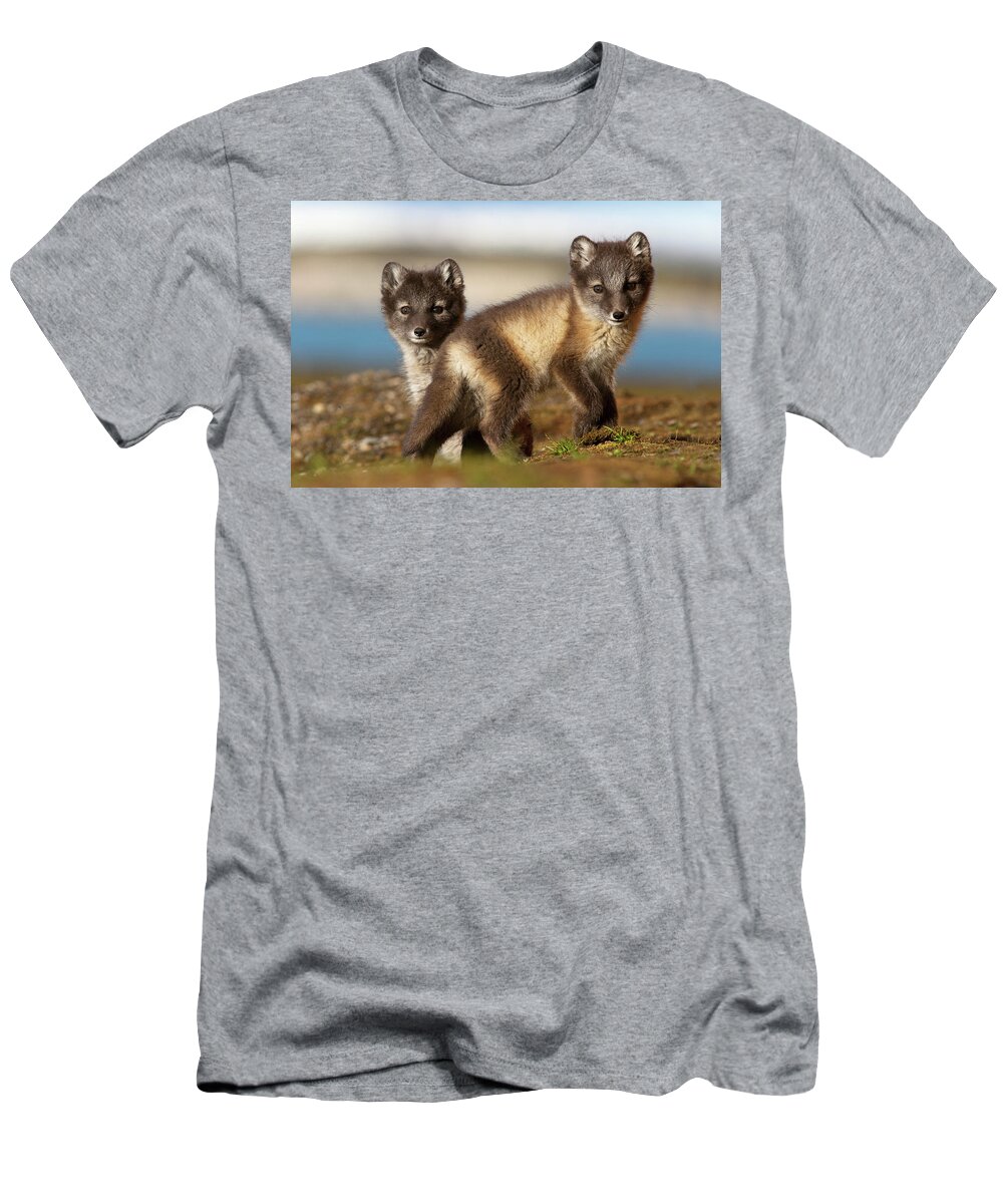 Mp T-Shirt featuring the photograph Arctic Fox Kits by Jasper Doest