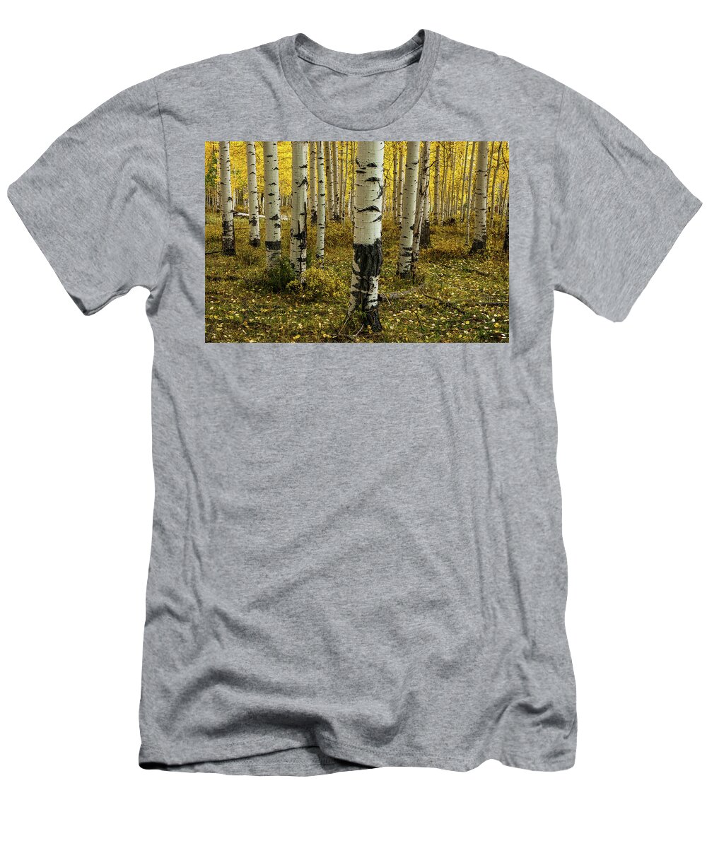 Aspens T-Shirt featuring the photograph Aspens - 0245 by Jerry Owens