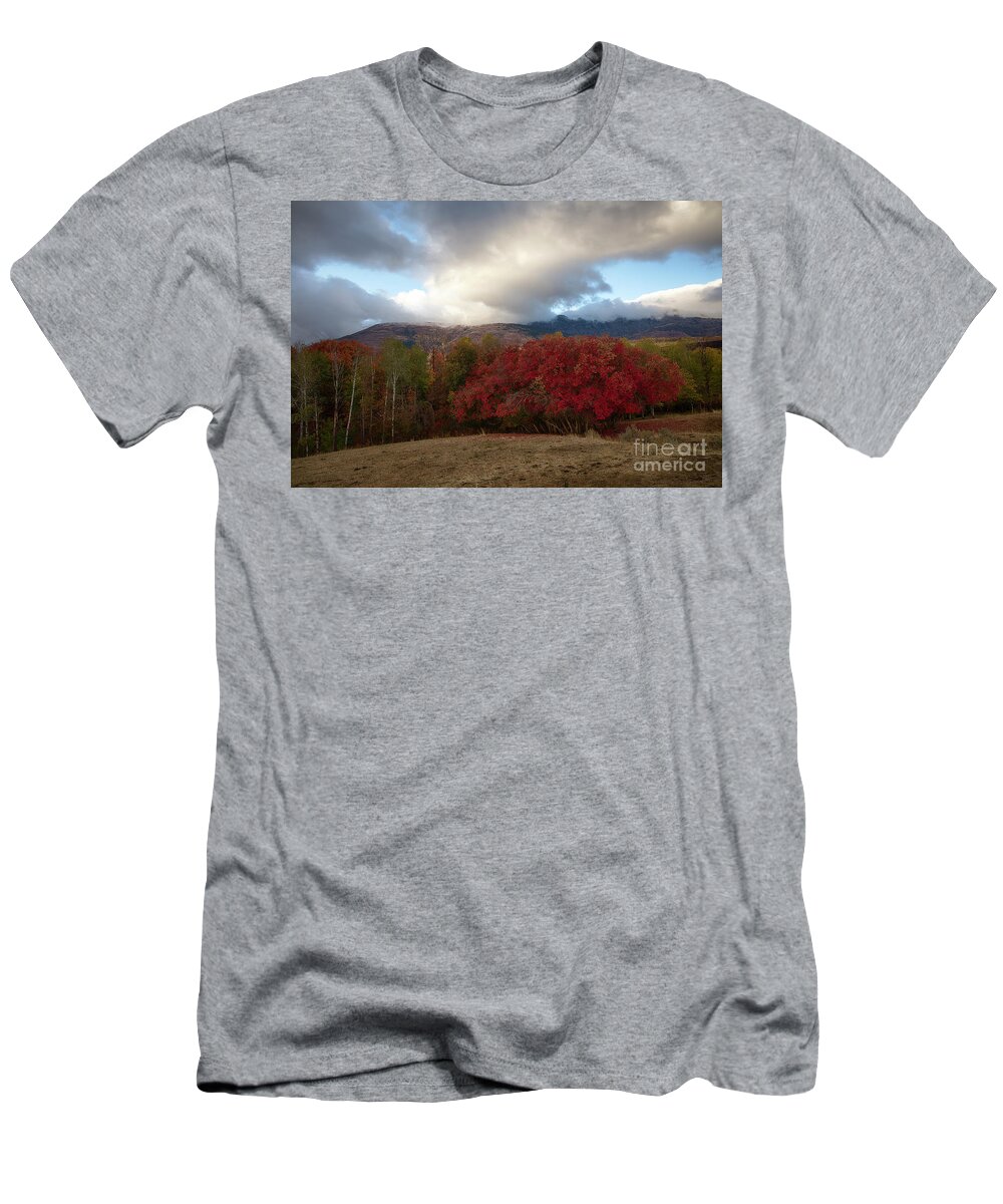 Bannock Mountains T-Shirt featuring the photograph Autumn Foothills by Idaho Scenic Images Linda Lantzy