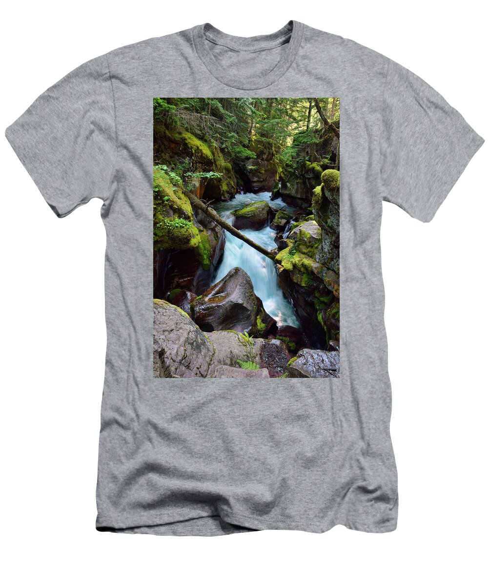 Glacier T-Shirt featuring the photograph Avalanche Creek Falls 5 by Roger Snyder