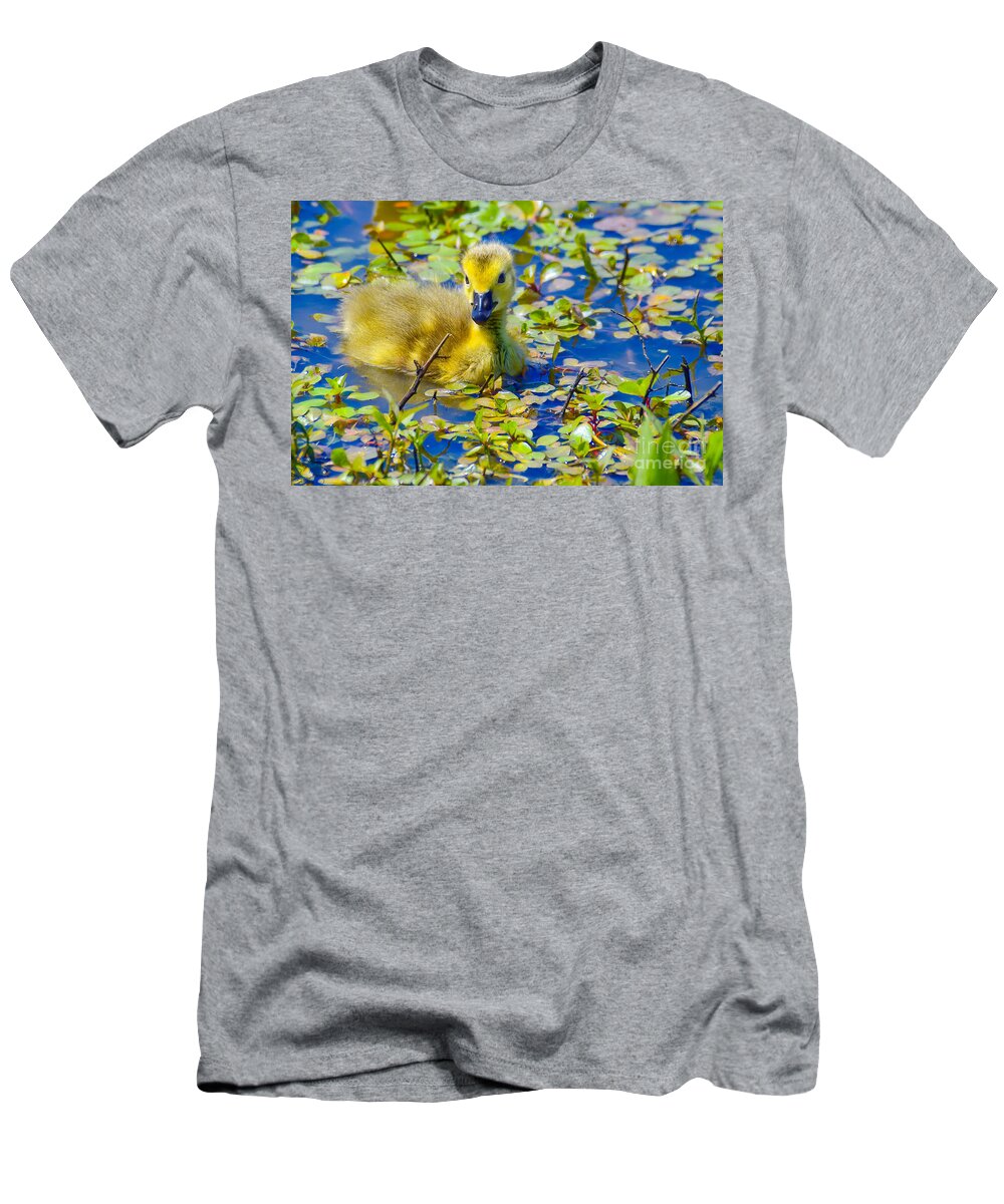 Baby Gosling T-Shirt featuring the photograph Baby Gosling by Peggy Franz