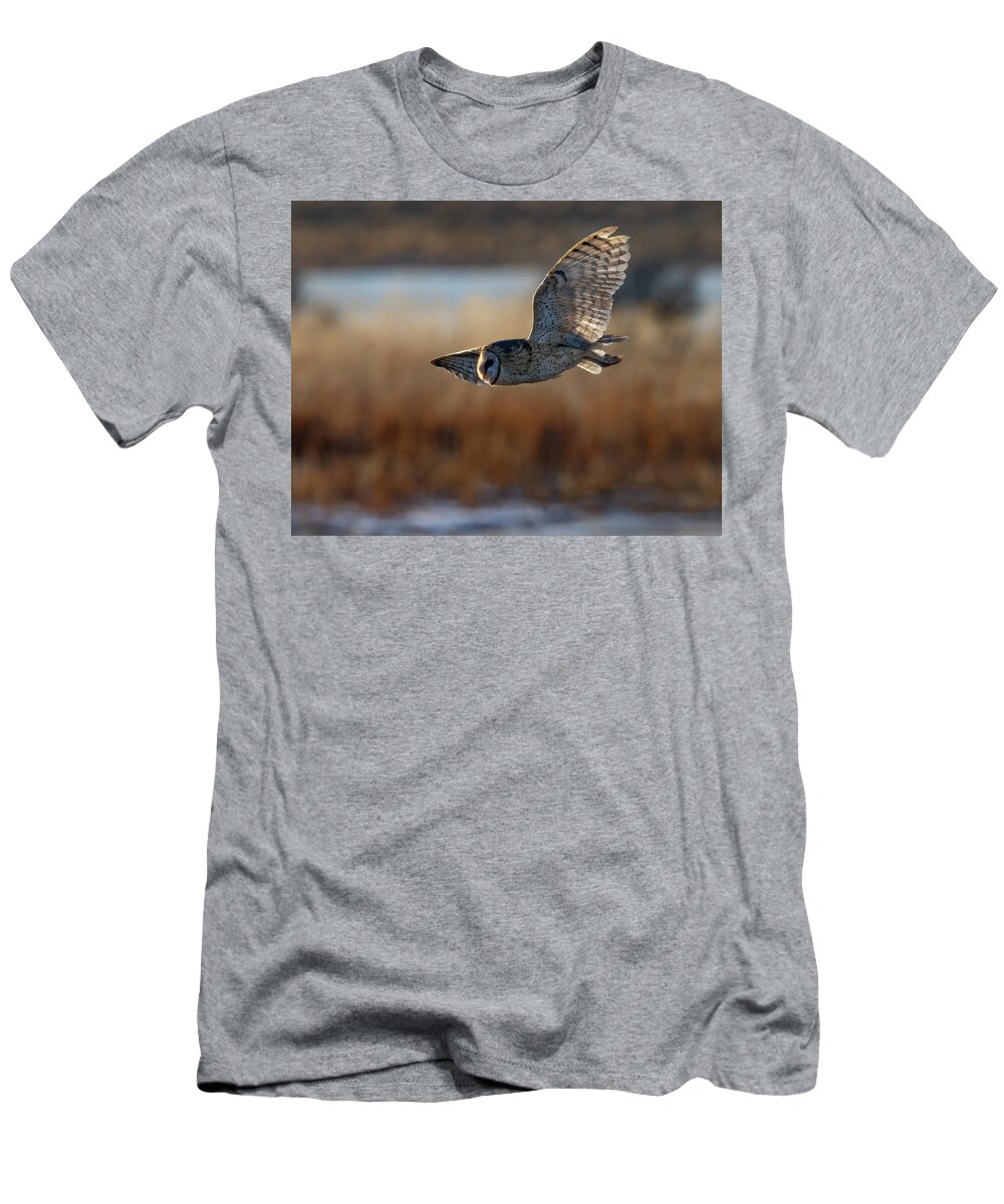 Owl T-Shirt featuring the photograph Barn Owl 3 by Rick Mosher