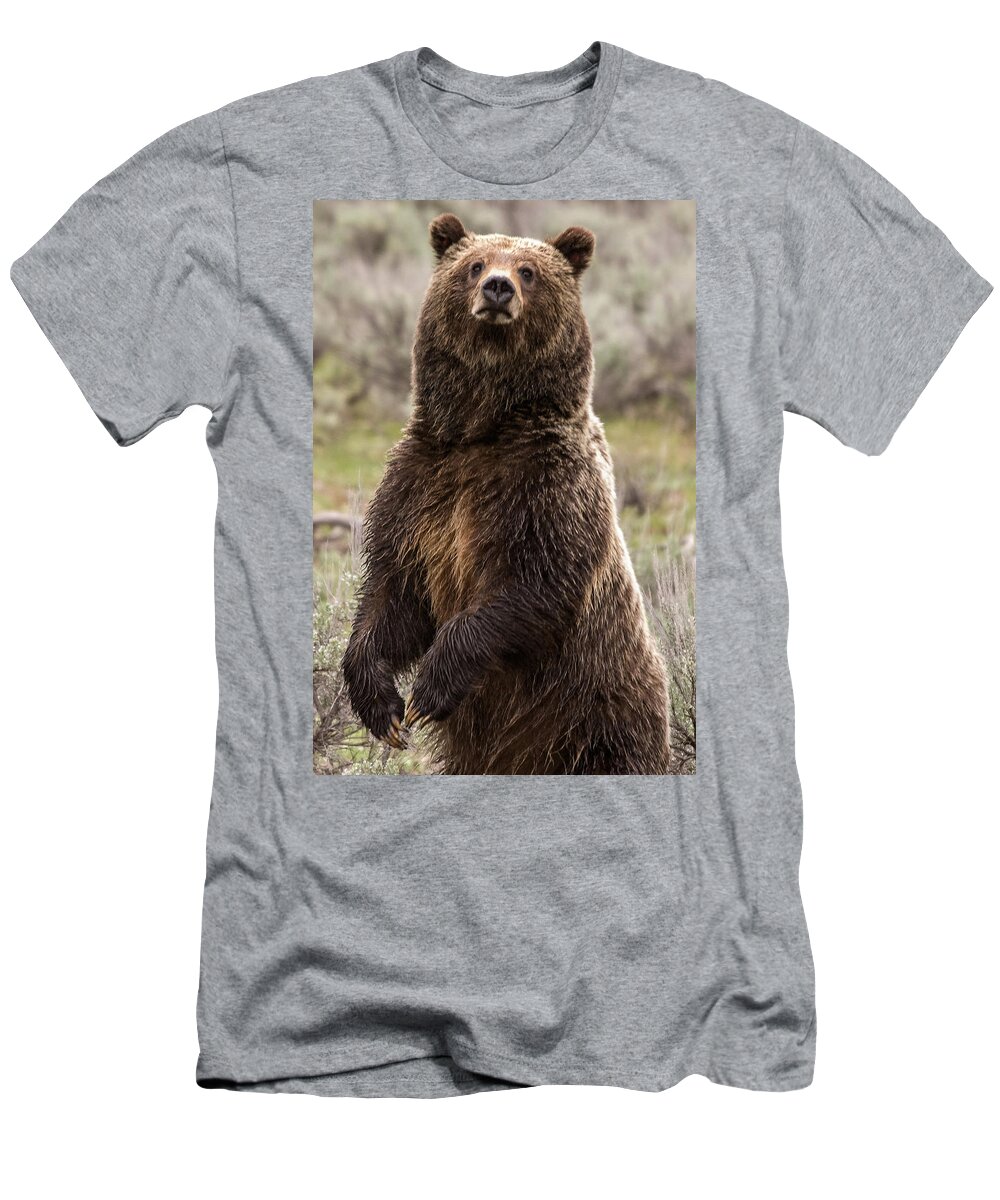 Grizzly Bear T-Shirt featuring the photograph Bear 399 by Steve Stuller