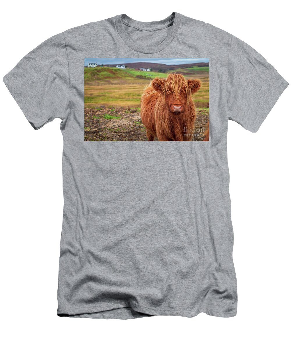 Beautiful Highland Cow T-Shirt featuring the photograph Beautiful Highland Cow by Elizabeth Dow