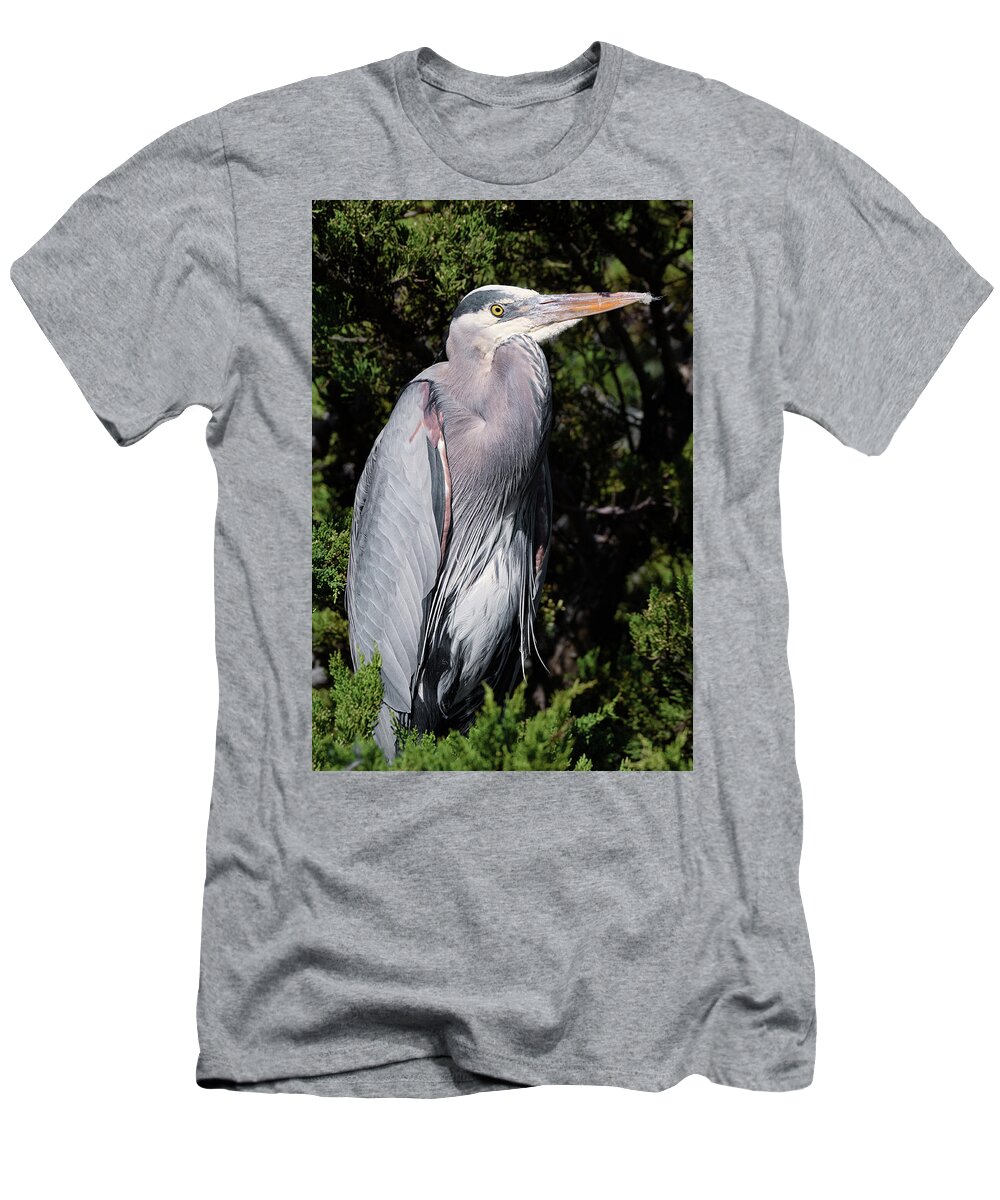 Great Blue Heron T-Shirt featuring the photograph Bertie Takes a Bough by Kathleen Bishop