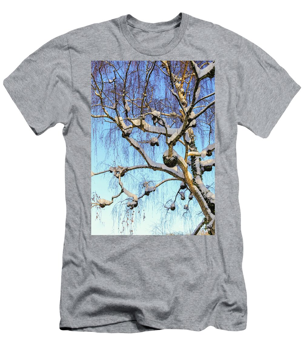 Birch T-Shirt featuring the photograph Birch tree in snow by Patricia Hofmeester
