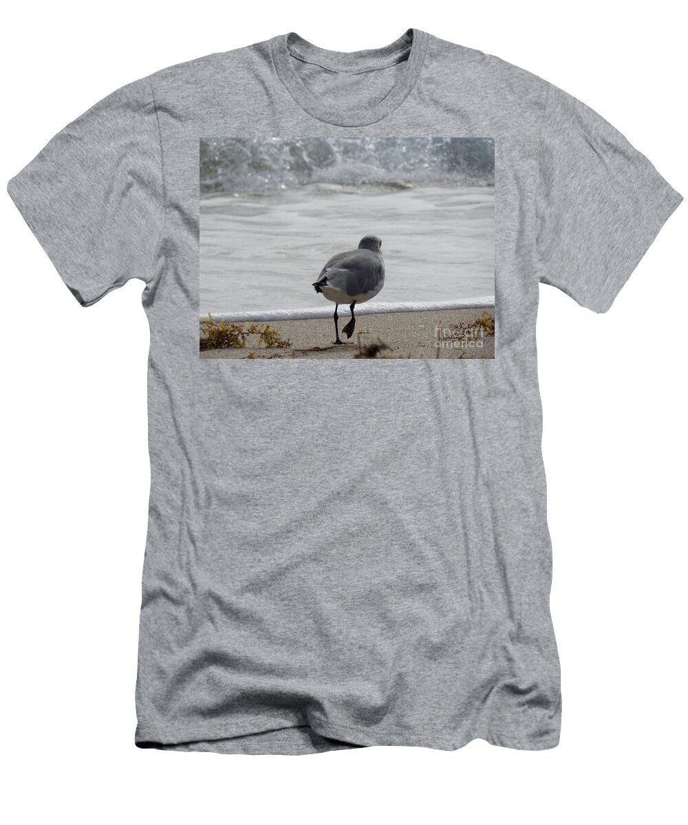 Laughing Gull T-Shirt featuring the photograph Laughing gull taking a stroll on the beach in Miami by Christy Garavetto