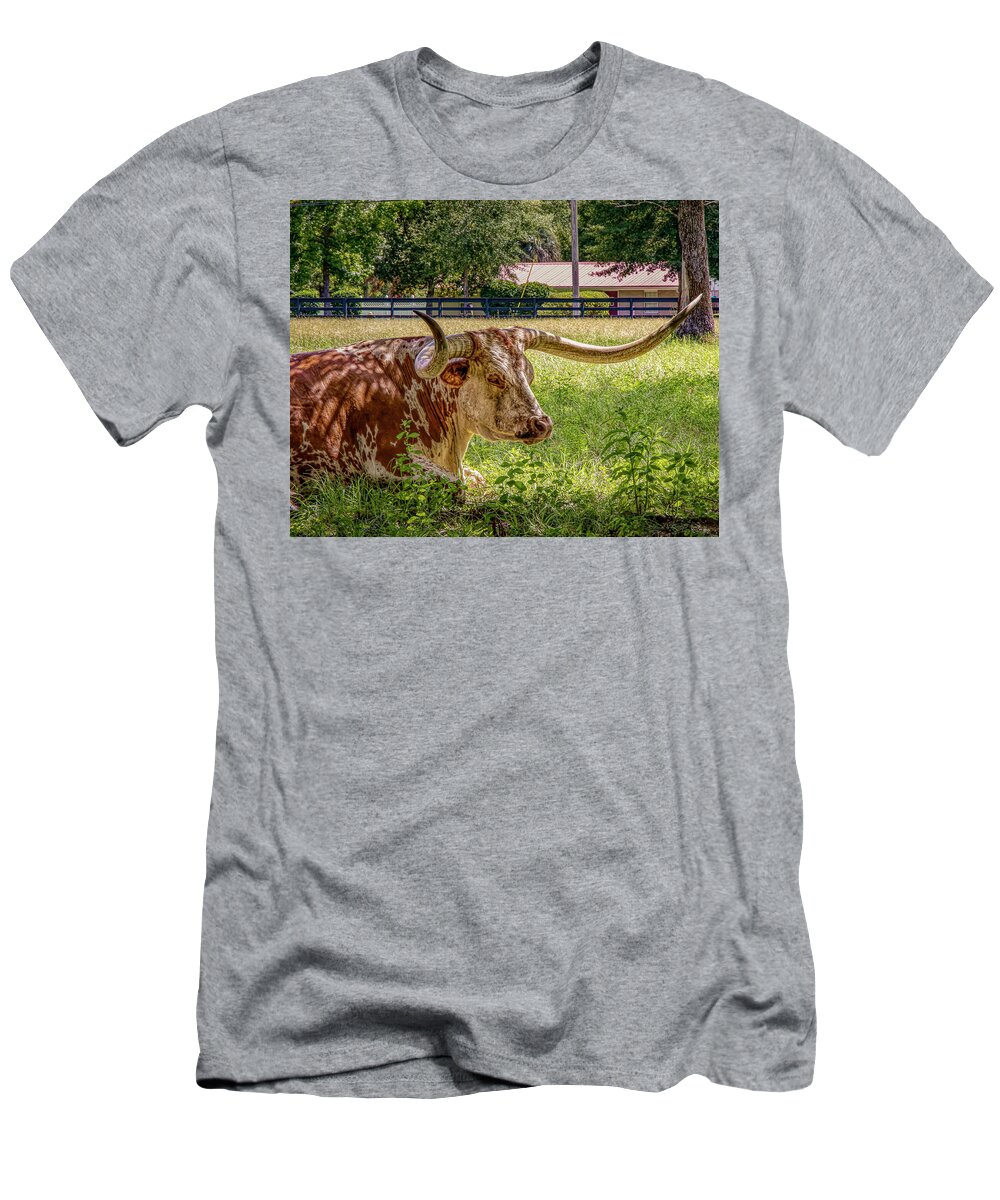 Cow T-Shirt featuring the photograph Birthday Cake by JASawyer Imaging