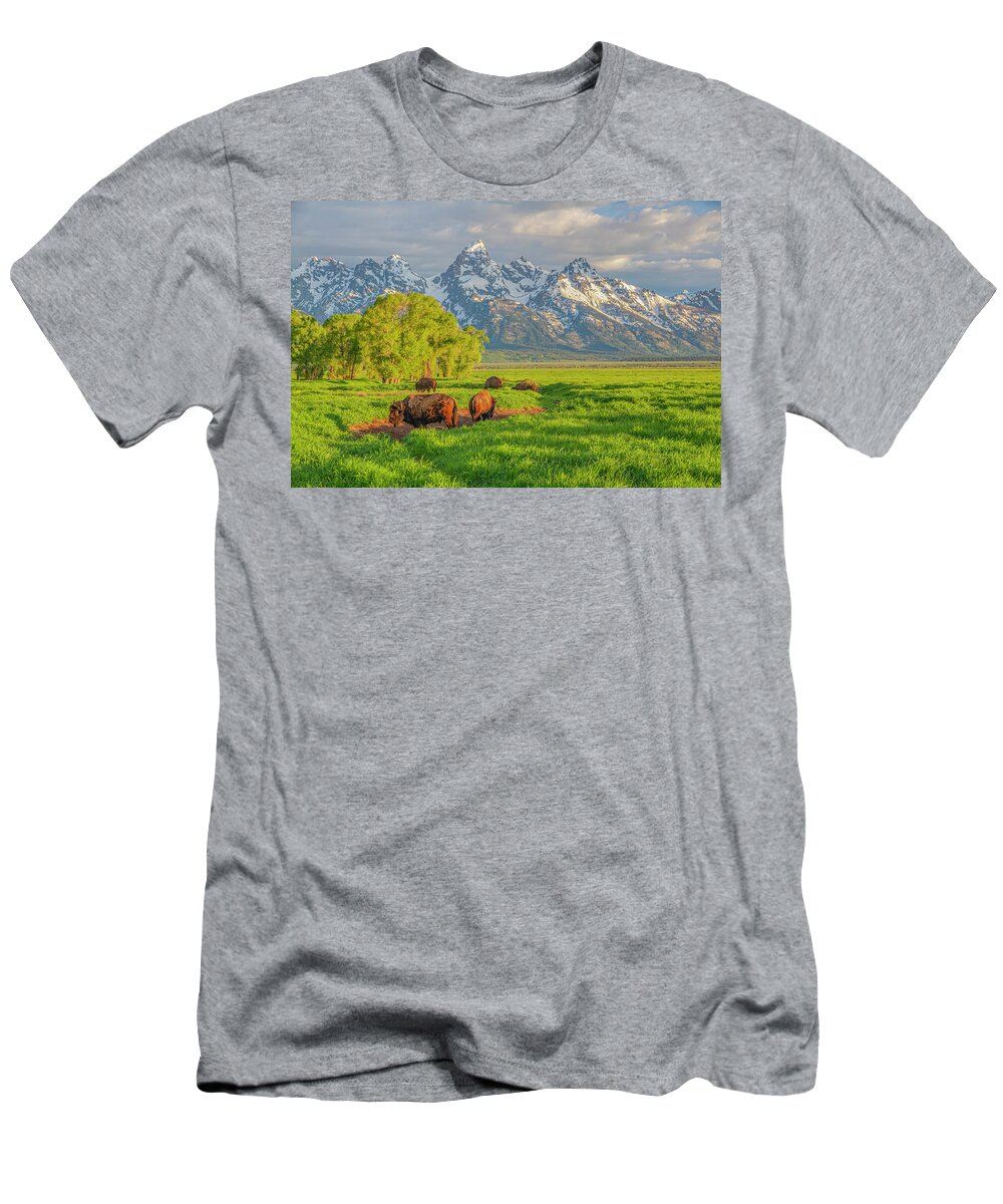 Bison T-Shirt featuring the photograph Bison Morning 2011-06 02 by Jim Dollar